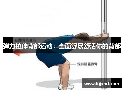 弹力拉伸背部运动：全面舒展舒活你的背部